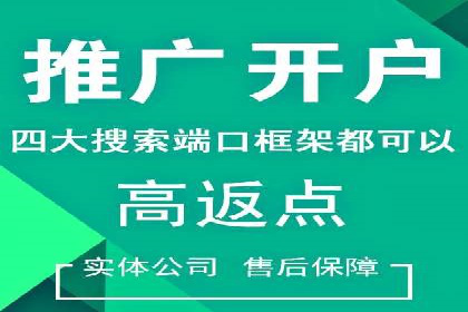 成功SEM推广代运营案例展示